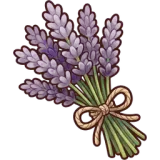 Lavender
