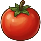 Tomato